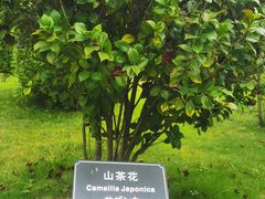 -厦门悦华酒店