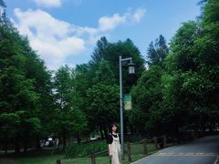 -阿哈湖国家湿地公园