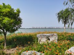 -天津东丽湖风景区