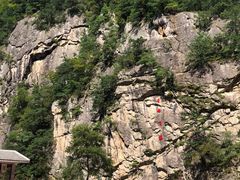 -青峰峡国家森林公园