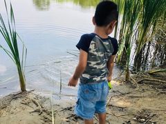 -东郊湿地公园