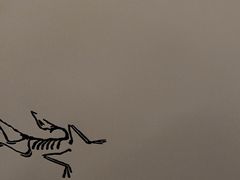 -三夫户外(天钥桥路店)