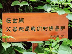 -寂照庵