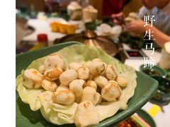 -润园四季椰子鸡火锅(海上世界店)