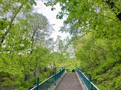 -洛阳白云山景区
