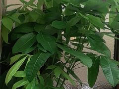 -沪碟·精菜坊(闵行店)