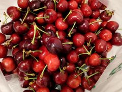 -四姑娘山阿巴郎·藏式花园餐厅