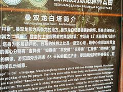 -西双版纳原始森林公园