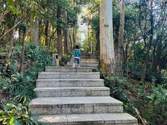 -小南山公园
