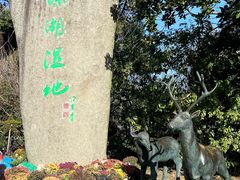 -溱湖国家湿地公园