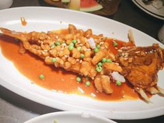 -宋园·金宴浙鲜馆(静安店)