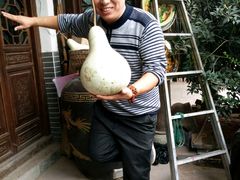 -三岔湖高家庄农家乐烤全羊柴火鸡翘壳鱼(三岔湖店)