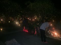 -乌托邦酒吧和餐厅