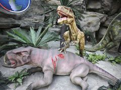 -国家自然博物馆