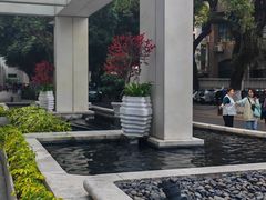 -广州白天鹅宾馆