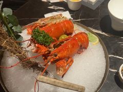 -半岛翡丽海鲜自助餐厅(观风亭店)