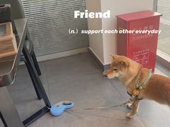 -HONGA HONGA雄家(曹路店)