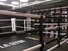 -花环泰拳·勒德斯拉泰拳馆(静安店)