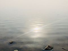 -丁香湖公园