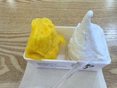 -野人先生Gelato(上海长宁龙之梦店)