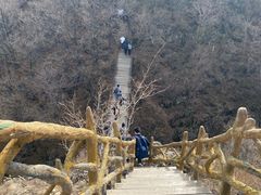 -香炉山国家森林公园