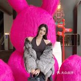 一起去浪漫餐厅约会吗