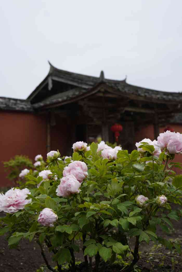 雪峰寺-