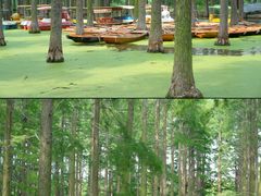 -渌洋湖湿地公园