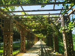 -北京张裕爱斐堡酒庄