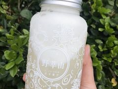 -野萃山·潮汕厚果汁(十亩地店)