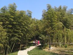 -良渚古城遗址公园
