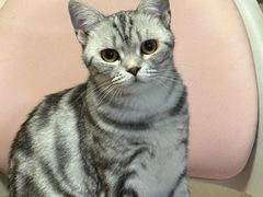 -贝康宠物医院·犬猫全科·小动物特色诊疗中心(东环路店)