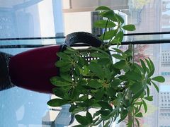 -广汽丰田(北京博瑞东贸4S店)