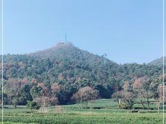 -灵顺寺