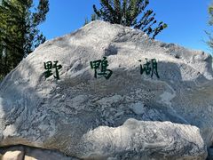 -野鸭湖国家湿地公园