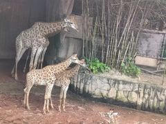 -长鹿旅游休博园