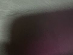-南翠屏公园