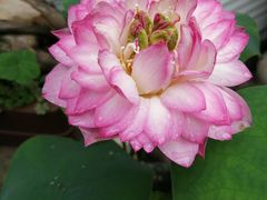 -欧歌堡KTV PARTY(万濠城店)