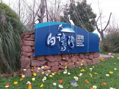 -白鹭湾湿地公园