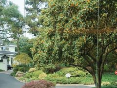 -浙江西子宾馆·瑶园咖啡厅