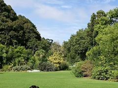 -墨尔本皇家植物园