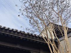 -雅达·阳羡溪山小镇中心