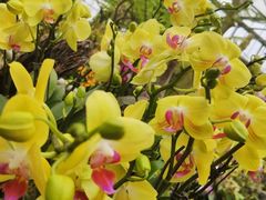 -南通洲际绿博园