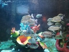 -太平洋海底世界