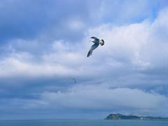 -海驴岛(荣成市)