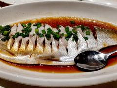 豉油蒸白水鱼-金美华轩(东方路齐鲁店)