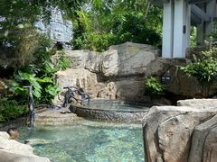 -海口观澜湖火山温泉谷