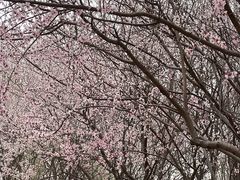 -太阳宫公园