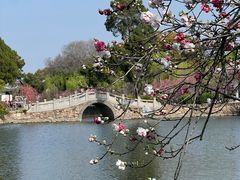 -无锡蠡湖国家湿地公园-蠡园