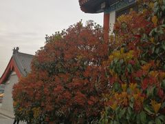 -终南山古楼观历史文化景区